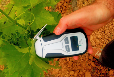 Measurement of chlorophyl content 